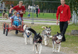 Foto: Izstāde "Pet Ekspo 2011" Ķīpsalā fotogrāfijās