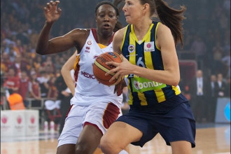 "Phoenix Mercury" atlaiž Zani Tamani "Phoenix Mercury" atlaiž Zani Tamani