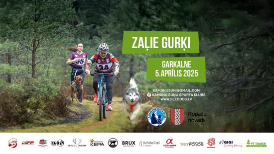 Kamanu suņu sporta sacensību sezonu atklās "Zaļie gurķi", kas būs arī Baltijas kausa posms