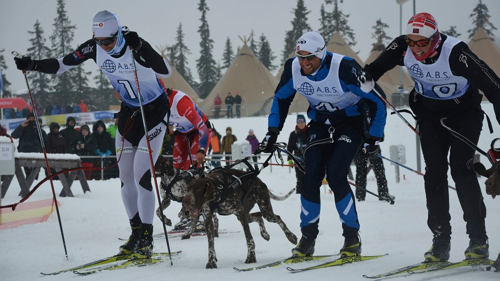 Slēpotājs Nortugs izcīnīšus sudrabu NorvēĮgias śmāpītā kamanu sunu sportā – Sportssport – Sportacentrs.com
