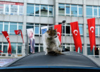 Blogs: mežonīgā Stambula, pašus turkus pārsteigusī Turcijas izlase