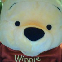 Winnie Pooh