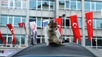Blogs: mežonīgā Stambula, pašus turkus pārsteigusī Turcijas izlase