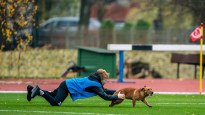 Virslīgas futbolu Jūrmalā gatavs spēlēt arī kāds suns