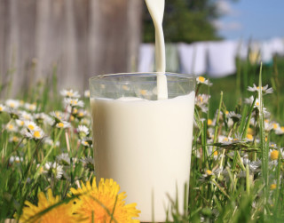 Populārākie mīti un patiesība par ekoloģiskajiem piena produktiem