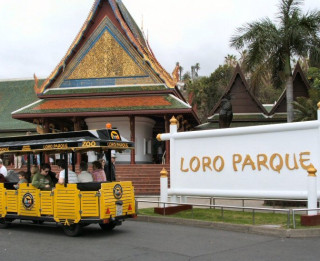 Foto: Kanāriju salu pērle- Loro parks