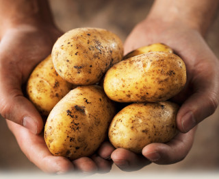 Ko Tu zini par kartupeli?