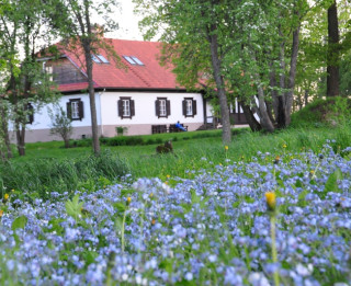 Raiņa mājā Berķenelē taps muzikāls brīvdabas uzvedums par Raiņa bērnību