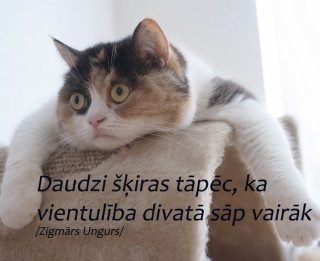 3. jūlija horoskops sadarbībā ar astrologi.lv