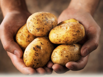Ko Tu zini par kartupeli?