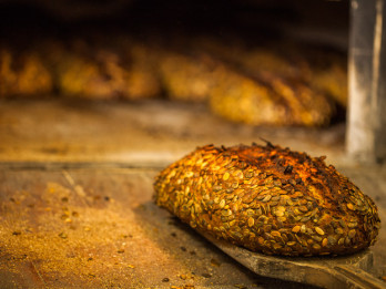 Dabas vakars – „Ražas rika rudenī”