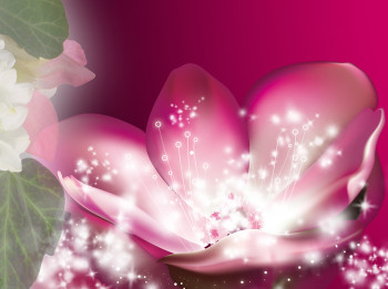 Maģiskais lotosa zieds - iedvesmas un gudrības simbols