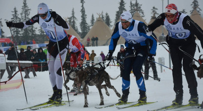 Slēpotājs Nortugs izcīnījis sudrabu Norvēģijas čempionātā kamanu suņu sportā