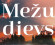Viena ģimene. Divi pazuduši bērni. Noslēpums, kuru glabā mežs