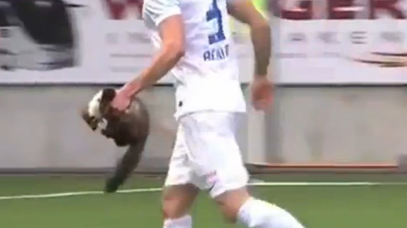 Futbolists saķēris caunu
Foto: no "MondayMatterz" video