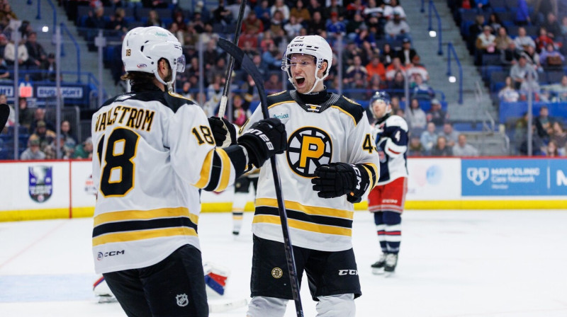 Dans Ločmelis un Olivers Valstroms. Foto: Hartford Wolf Pack