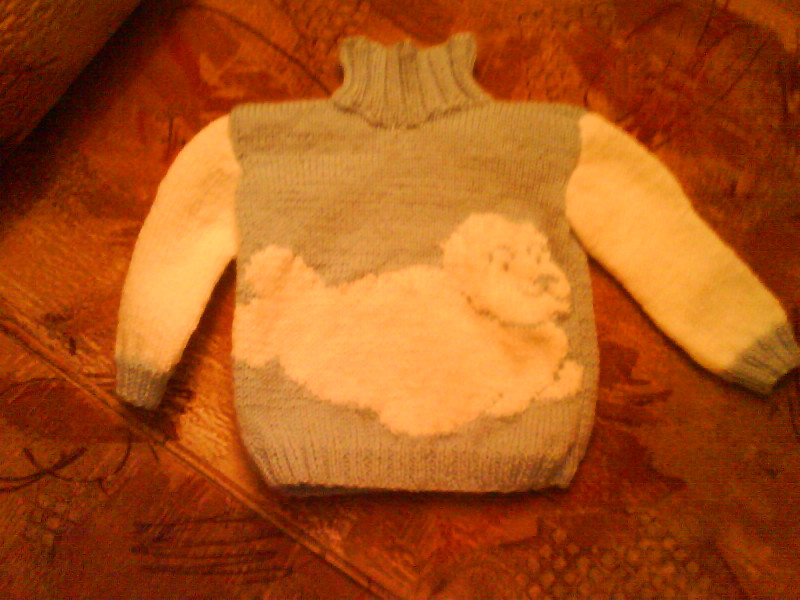 Rokdarbi. Bērnu džemperītis ar ronīša attēlu