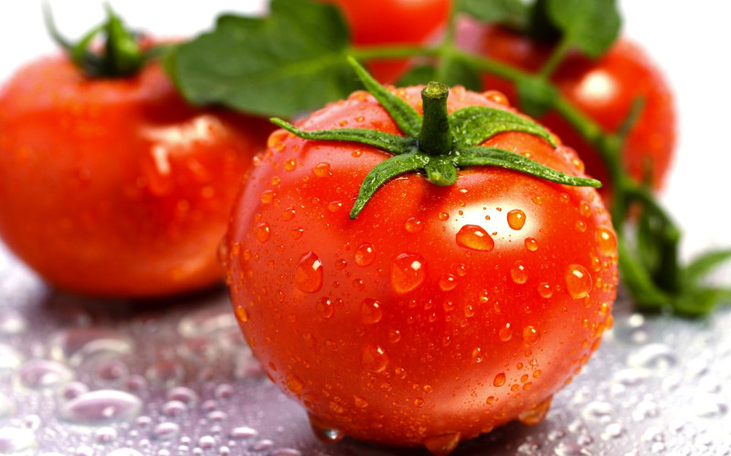 Dabas muzejā atklās tomātu un veselības augu parādi