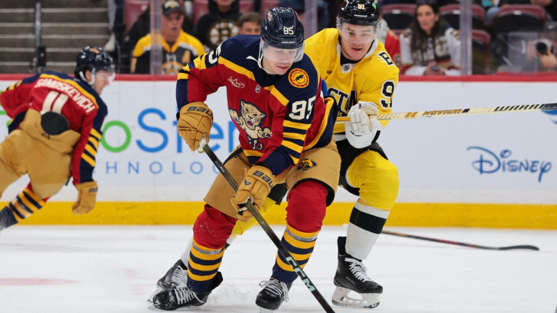 ''Bruins'' aizsargs Makavojs dalās ar sekām pēc tikšanās ar spēcīgo Vilmani