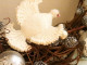Ziemassvētku rotājums – adīta baltā ūbele
